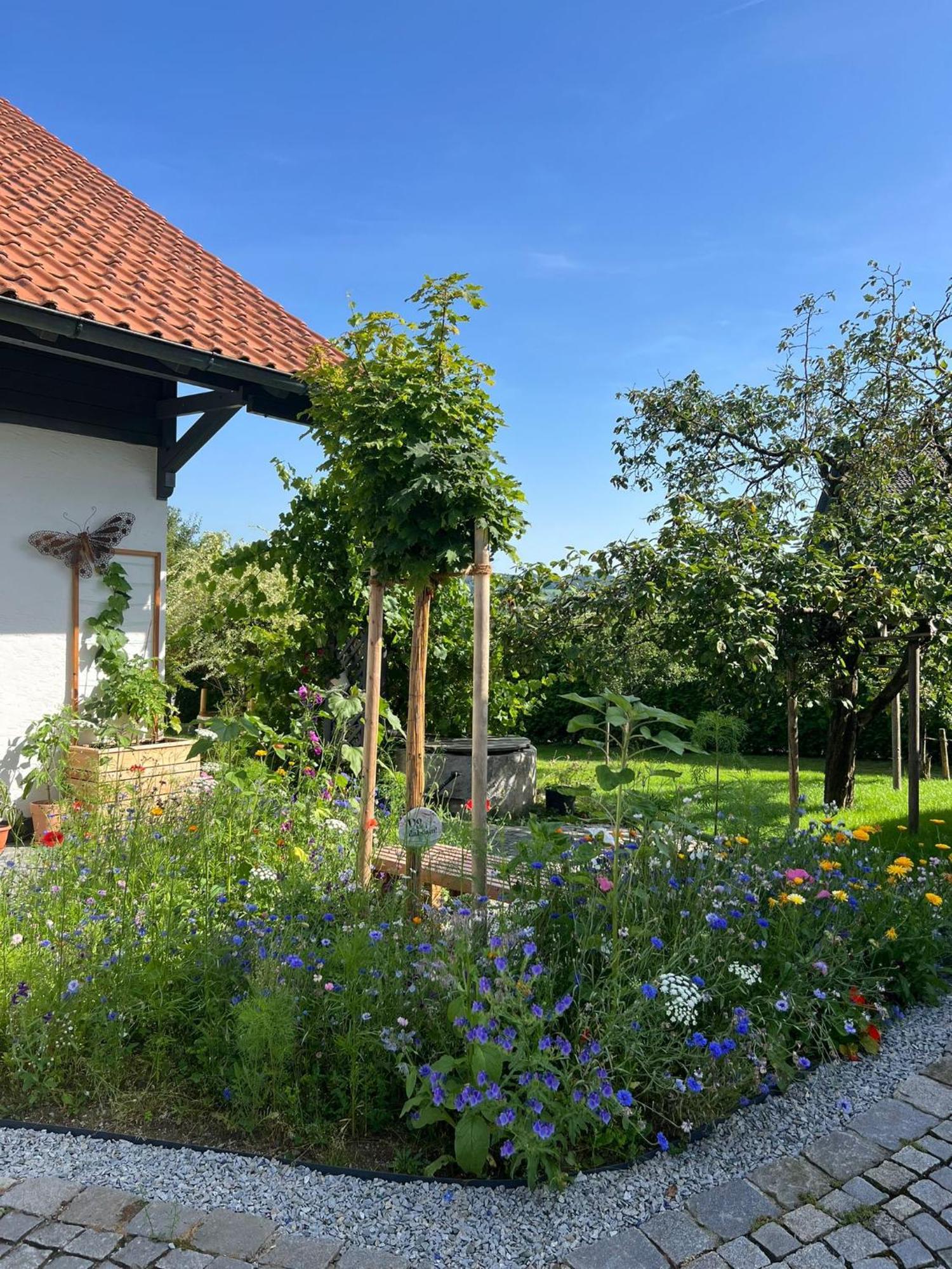 Ferienwohnung Anita Jandelsbrunn Exterior photo